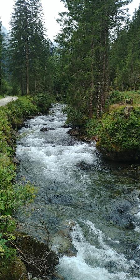 Gaestehaus Fuchs Grobming Exteriör bild